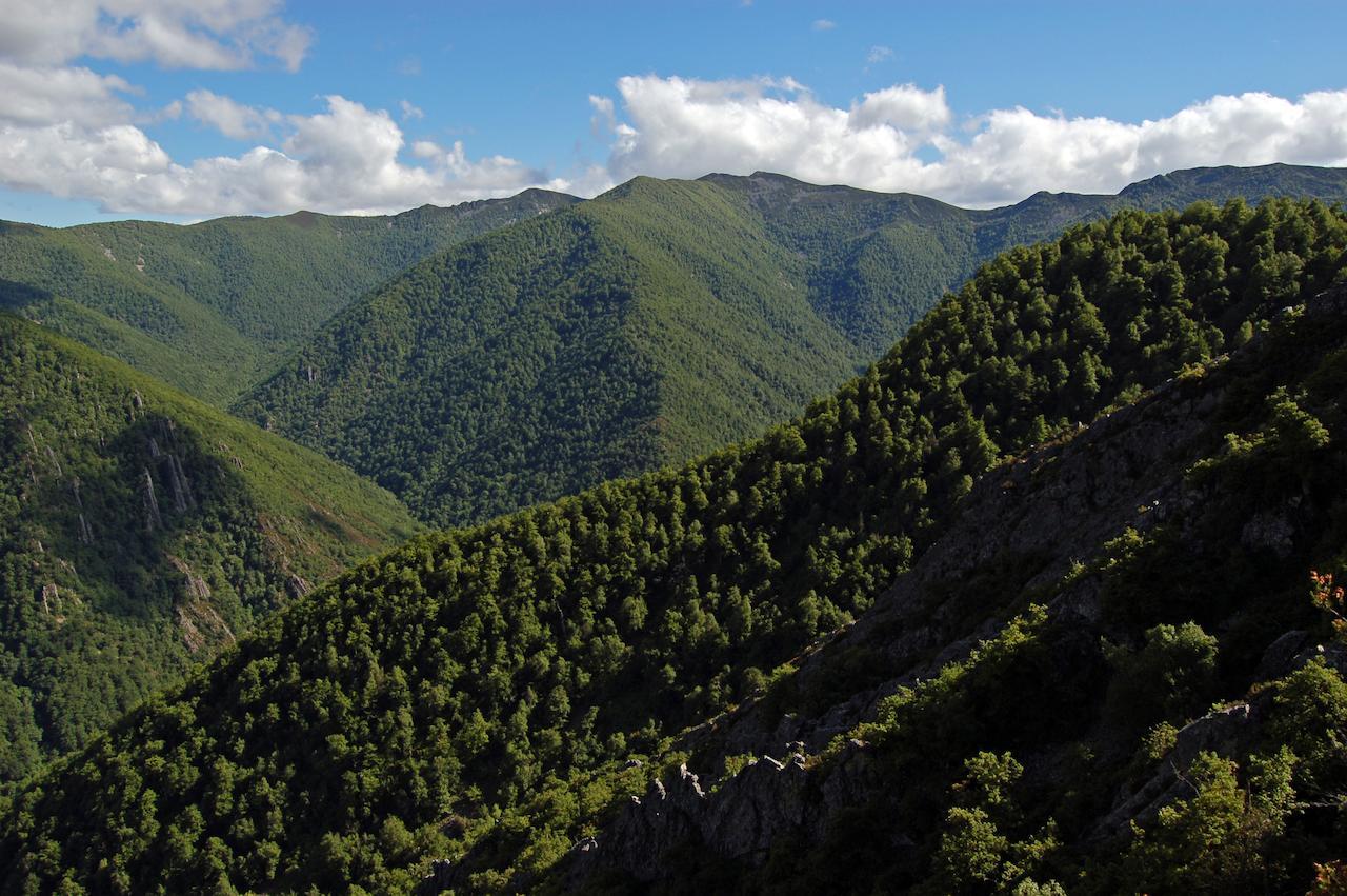 Отель El Mirador De Fuentes Del Narcea Монко Экстерьер фото