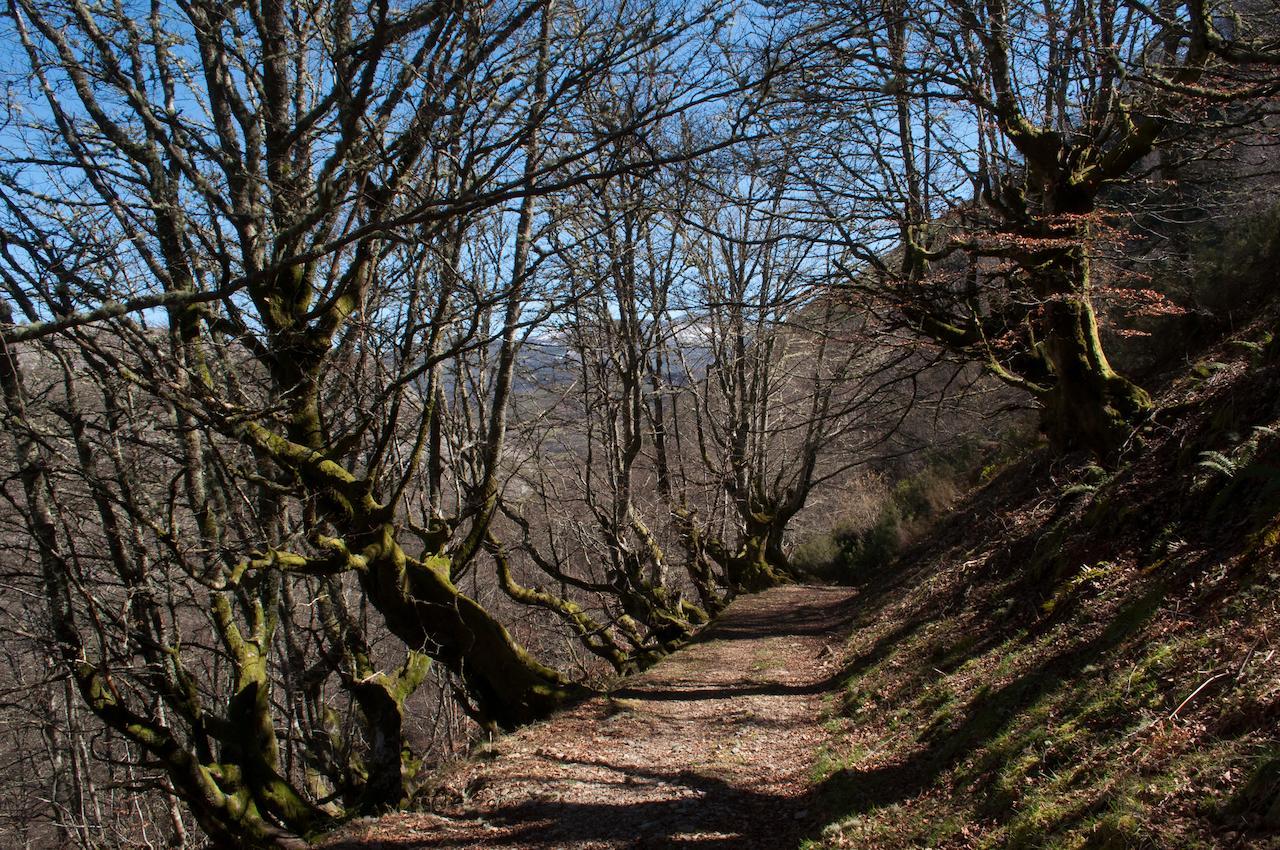 Отель El Mirador De Fuentes Del Narcea Монко Экстерьер фото